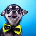 yosi adlı kullanıcı