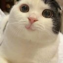 Meryemakba adlı kullanıcı